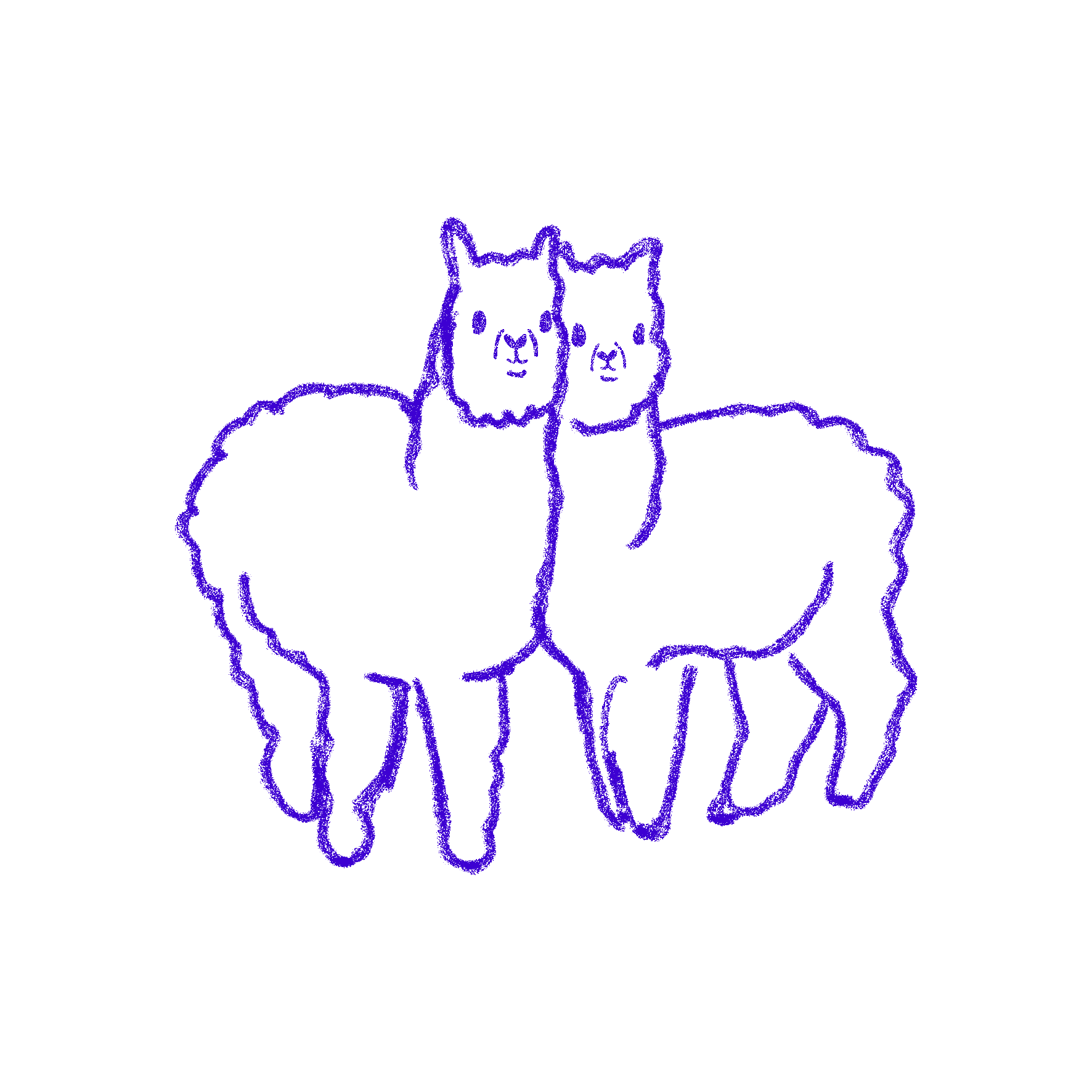 kategoria Spacer z alpakami